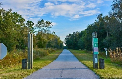 ENJOY CONVENIENT, WORRY FREE FLORIDA LIVING in the welcoming 55+ - photo 32