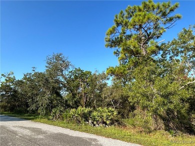 Welcome to your future ONE-ACRE homesite on Nuzum Road! A - photo 3