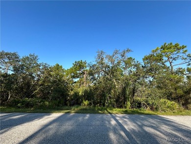 Welcome to your future ONE-ACRE homesite on Nuzum Road! A - photo 4