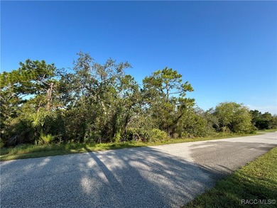 Welcome to your future ONE-ACRE homesite on Nuzum Road! A - photo 5