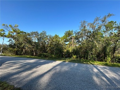 Welcome to your future ONE-ACRE homesite on Nuzum Road! A - photo 6