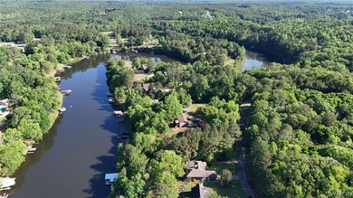 LAKE LIFE truly doesn't get better than this on Lake Tuscaloosa - photo 44