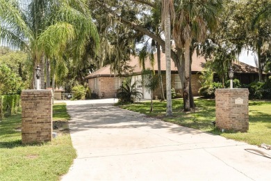 Lake Weohyakapka (Lake Walk-In-Water) Home For Sale in Lake Wales Florida