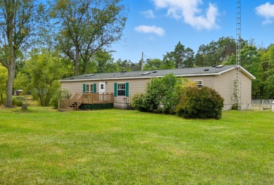 Lake Home For Sale in Howard City, Michigan