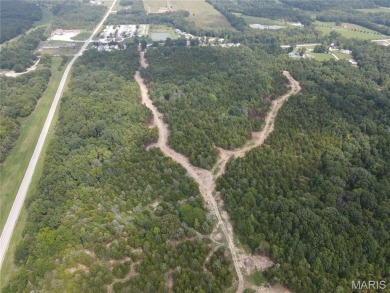 Lake Acreage For Sale in Monroe City, Missouri