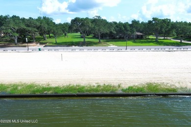 Large - photo 11