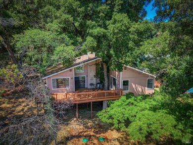 Located in the highly desirable Buckingham area of Kelseyville - photo 43