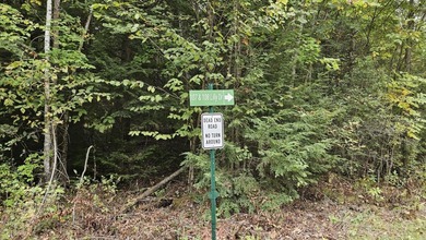 This is your chance to own 2.6 acre lot near Sebasticook Lake - photo 10