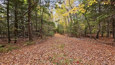 This is your chance to own 2.6 acre lot near Sebasticook Lake - photo 11