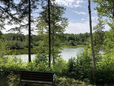 Serenity, woods and water....LOTS of water! Offering a rare 5 - photo 21