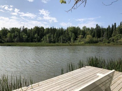 Serenity, woods and water....LOTS of water! Offering a rare 5 - photo 23