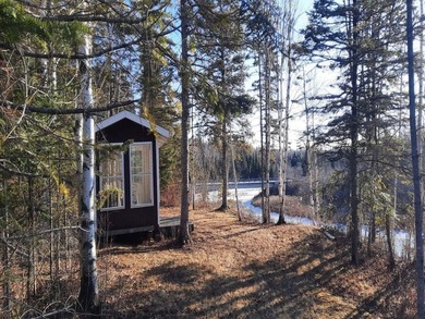 Serenity, woods and water....LOTS of water! Offering a rare 5 - photo 26