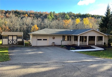 Lake Home For Sale in Pine City, New York