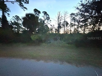 Port Charlotte Waterway Area Lot For Sale in Port Charlotte Florida