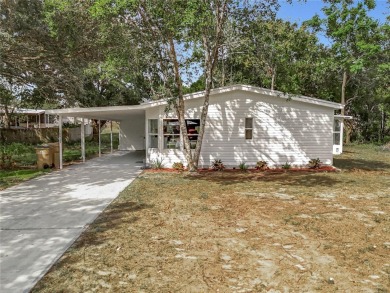 Lake Home For Sale in Minneola, Florida