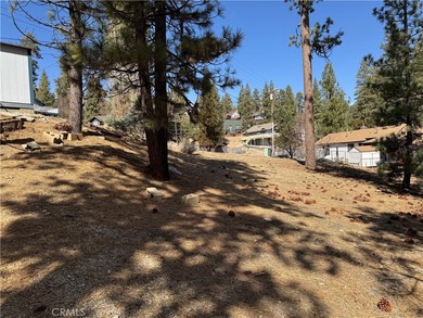 Big Bear Lake Lot For Sale in Fawnskin California