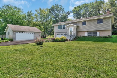 Lake Home For Sale in Morris, Illinois
