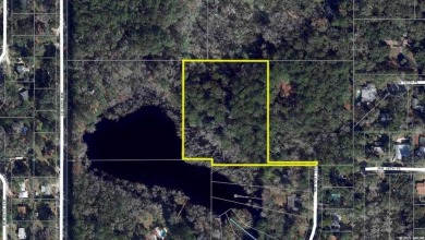 (private lake, pond, creek) Acreage For Sale in Gainesville Florida