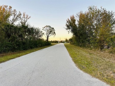 MULTI-FAMILY / DUPLEX / TRIPLEX LOT located on an OVERSIZED - photo 3