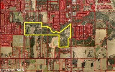 (private lake, pond, creek ) Acreage For Sale in Fairhope Alabama