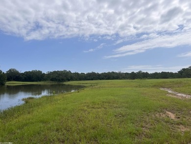 Opportunity awaits in the heart of Fairhope. 139+- Acres - photo 3