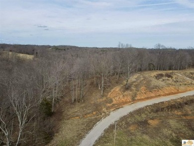 Tract 2 at The Village at Dale Hollow offers 4.581 acres with a - photo 3