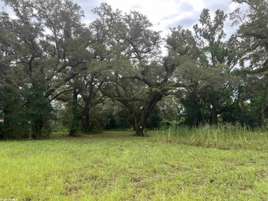 Opportunity awaits in the heart of Fairhope. 139+- Acres - photo 4