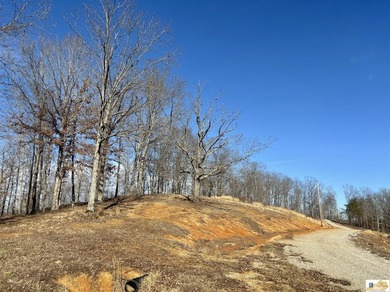 Tract 2 at The Village at Dale Hollow offers 4.581 acres with a - photo 4