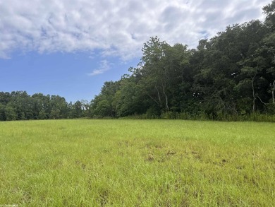 Opportunity awaits in the heart of Fairhope. 139+- Acres - photo 5