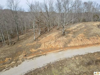 Tract 2 at The Village at Dale Hollow offers 4.581 acres with a - photo 5