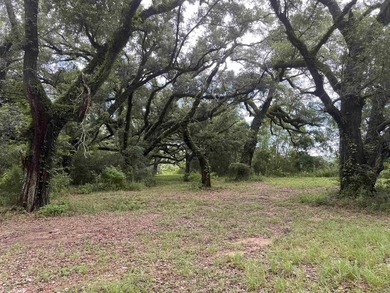 Opportunity awaits in the heart of Fairhope. 139+- Acres - photo 6