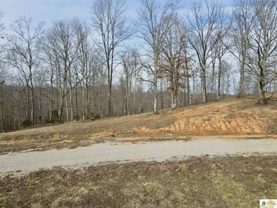 Tract 2 at The Village at Dale Hollow offers 4.581 acres with a - photo 6