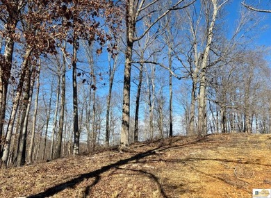 Tract 2 at The Village at Dale Hollow offers 4.581 acres with a - photo 7