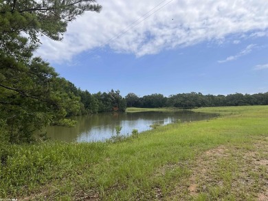 Opportunity awaits in the heart of Fairhope. 139+- Acres - photo 8