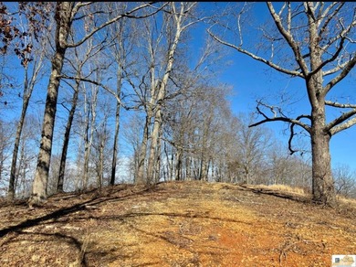 Tract 2 at The Village at Dale Hollow offers 4.581 acres with a - photo 8