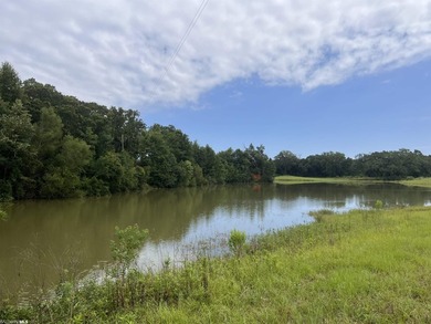 Opportunity awaits in the heart of Fairhope. 139+- Acres - photo 9