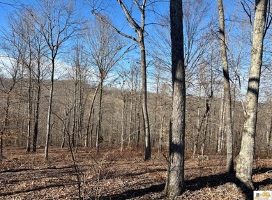 Tract 2 at The Village at Dale Hollow offers 4.581 acres with a - photo 9