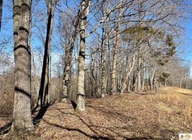 Tract 2 at The Village at Dale Hollow offers 4.581 acres with a - photo 10
