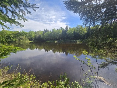 Beautiful, Peaceful and Private River/Water Front lot. 3.5 acres - photo 11