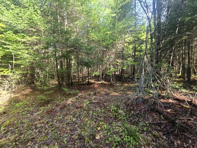 Beautiful, Peaceful and Private River/Water Front lot. 3.5 acres - photo 12