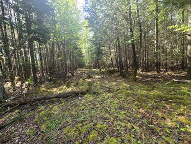Beautiful, Peaceful and Private River/Water Front lot. 3.5 acres - photo 13