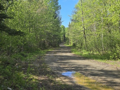Beautiful, Peaceful and Private River/Water Front lot. 3.5 acres - photo 14