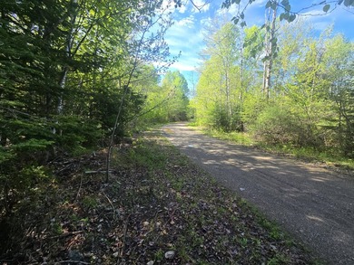Beautiful, Peaceful and Private River/Water Front lot. 3.5 acres - photo 15