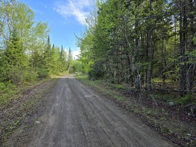 Beautiful, Peaceful and Private River/Water Front lot. 3.5 acres - photo 16