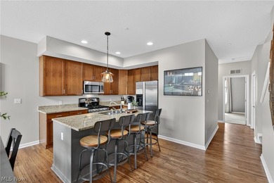 Experience elevated urban living in this light-filled - photo 19