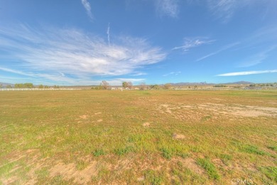 358 Sky Harbor and Lakefront - photo 6
