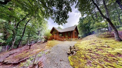 Meticulously maintained log cabin located in River Ridge estates - photo 2