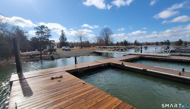 (private lake, pond, coastal) Commercial For Sale in Madison Connecticut
