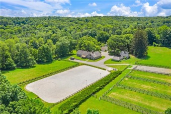 (private lake) Home For Sale in Bedford New York
