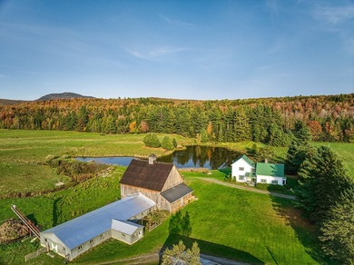 +/- 200 ACRES A MANSONVILLE * A 6 MINUTES D'OWLS HEAD * Nichee - photo 3